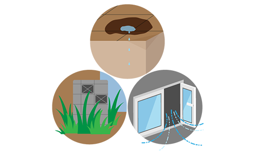 雑草雨漏りの確認・換気